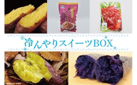 【2025年1月より順次発送】★数量限定★冷んやりスイーツBOX(AE-91)