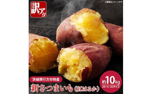 【2026年8月中旬より順次発送】★訳あり★茨城県行方市特産 新さつまいも（紅はるか）サイズミックス 約10kg｜訳あり わけあり 訳アリ さつまいも サツマイモ さつま芋 紅はるか べにはるか 芋 いも 茨城県産 行方市(FU-3)