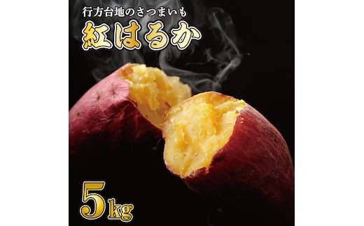 【2026年2月より順次発送】★訳あり★ 無選別 行方台地のさつまいも 紅はるか 約5kg｜訳あり ワケアリ 訳アリ さつまいも サツマイモ さつま芋 紅はるか 無選別 べにはるか 行方市 ふるさと納税(CU-317)