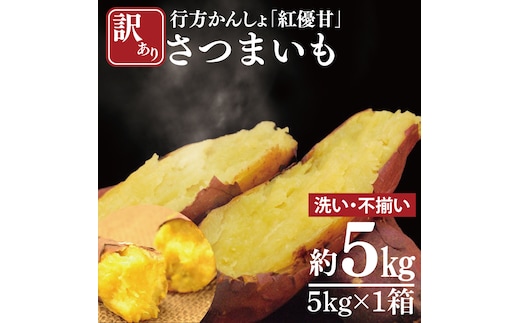 【2025年11月下旬より順次発送】【訳あり】行方かんしょ「紅優甘」さつまいも約5kg(洗い・不揃い)｜さつまいも サツマイモ さつま芋 お芋 紅優甘 行方かんしょ 訳あり わけあり 訳アリ 茨城県 行方市(AE-94)