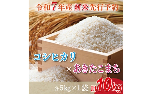 【2025年9月中旬より順次発送】★新米★R7年産 コシヒカリ 5kg+あきたこまち 5kg｜米 お米 白米 精米 新米 R7年産 令和7年産 コシヒカリ こしひかり あきたこまち 食べ比べ 茨城県 茨城県産 行方市(HA-20)