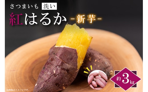 EK-8 【2026年9月より順次発送】農産物直売所「やさいの声」さつまいも 紅はるか 新芋 洗い 約3kg