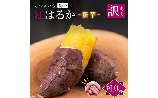 ★訳あり★【2026年9月より順次発送】農産物直売所「やさいの声」紅はるか 新芋 洗い 約10kg|訳ありさつまいも サツマイモ 紅はるか 洗い 行方市 ふるさと納税(EK-10)