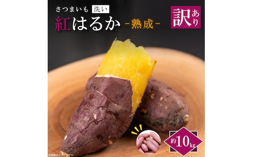 ★訳あり★【2027年1月より順次発送】【訳あり】農産物直売所「やさいの声」熟成紅はるか 洗い 約10kg|さつまいも サツマイモ 紅はるか 熟成 洗い 行方市 ふるさと納税(EK-13)