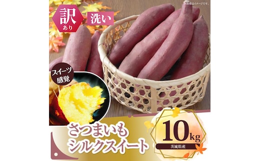 【訳あり】さつまいも シルクスイート 約10kg｜さつまいも 芋 お芋 わけあり 訳あり シルクスイート タネのハシモト 茨城県 行方市(BS-22)