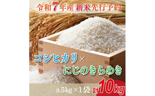 【2025年10月より順次発送】★新米★R7年産 コシヒカリ 5kg+にじのきらめき 5kg｜米 お米 白米 精米 新米 R7年産 令和7年産 コシヒカリ こしひかり にじのきらめき 食べ比べ 数量限定 先行予約 茨城県 茨城県産 行方市(HA-22)