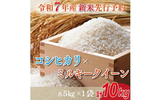 【2025年9月中旬より順次発送】★新米★R7年産 コシヒカリ 5kg+ミルキークイーン 5kg｜米 お米 白米 精米 新米 R7年産 令和7年産 コシヒカリ こしひかり ミルキークイーン 食べ比べ 数量限定 茨城県 茨城県産 行方市(HA-21)