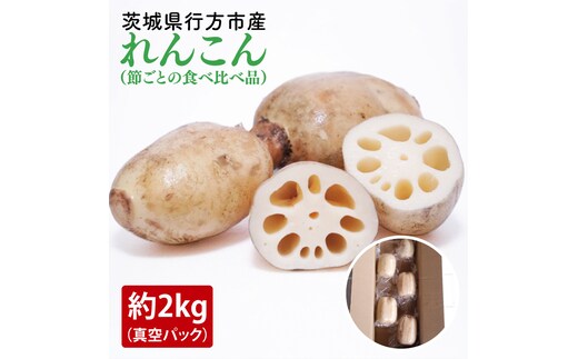 【2025年9月中旬より順次発送】【真空パック】【洗い】【食べ比べ】「横瀬農園のれんこん」（節切り小分け食べ比べ品）約2kg（4～5袋）｜ 農家直送 レンコン れんこん 茨城県産 野菜 根菜 行方市産 新鮮 栄養豊富 生産量 日本一(HB-4)