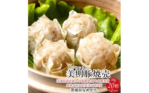 【2025年12月中旬より順次発送】焼売 美明豚「びめいとん」のジューシー焼売2パック（30g×20個×2袋）｜シュウマイ 焼売 美明豚 びめいとん 肉 肉加工品 豚肉 お肉 ジューシー 先行予約 茨城県 行方市(HJ-1-1)