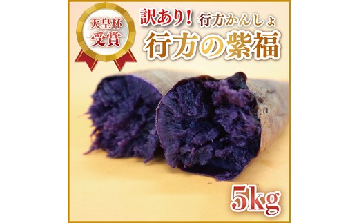 【2026年2月より順次発送】【訳あり】行方かんしょ「行方の紫福」さつまいも約5kg（洗い・不揃い・C品）｜さつまいも サツマイモ さつま芋 お芋 行方の紫福 訳あり わけあり 訳アリ 行方かんしょ 茨城県 行方市(AE-112)