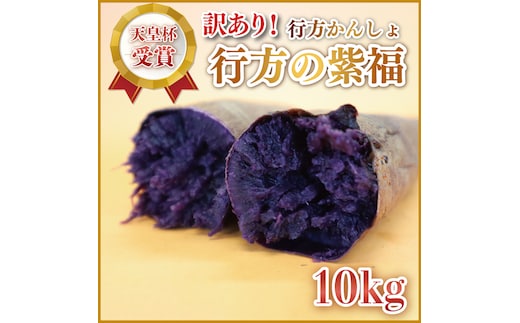 【2026年2月より順次発送】【訳あり】行方かんしょ「行方の紫福」さつまいも約10kg（洗い・不揃い・C品）｜さつまいも サツマイモ さつま芋 お芋 行方の紫福 訳あり わけあり 訳アリ 行方かんしょ 茨城県 行方市(AE-113)
