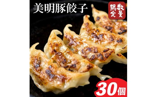 【2025年12月上旬より順次発送】美明豚「びめいとん」のジューシー餃子 1パック(30個入り)｜餃子 ぎょうざ ギョウザ 美明豚 びめいとん 数量限定 肉 肉加工品 豚肉 お肉 ジューシー 茨城県 行方市(HJ-5)
