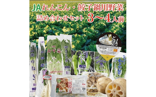 ★2026年9月より配送★ れんこん・餃子鍋用野菜詰め合わせセット！！（3～4人前）(AE-115)