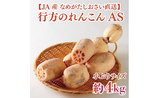 ★2026年9月より配送★ JAなめがたしおさい直送 行方のれんこんAS・約4kg（小ぶりサイズ）(AE-114)