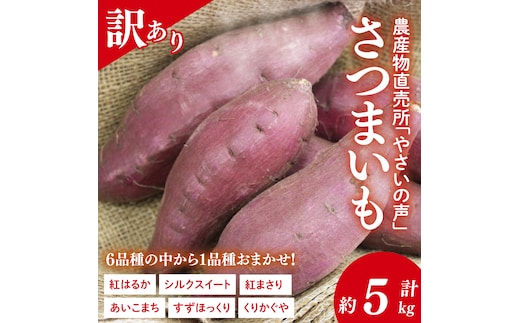 農産物直売所「やさいの声」★訳あり★さつまいも(品種おまかせ) 約5kg｜さつまいも 芋 サツマイモ 訳あり わけあり ワケアリ おまかせ 5kg 紅はるか シルクスイート すずほっくり くりかぐや あいこまち(EK-14)
