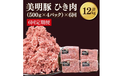 【6ヶ月定期便】【美明豚】挽肉 計2kg(約500g×4パック)｜肉 お肉 ひき肉 豚肉 挽肉 美明豚 豚 ハンバーグ 煮物 キーマカレー 定期便 茨城県 行方市(DH-21)