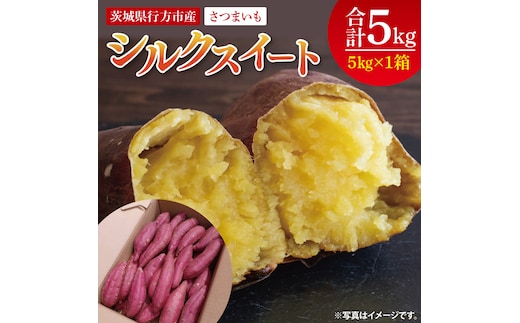 【2025年9月より順次発送】さつまいも(シルクスイート) 約5kg｜さつまいも 芋 サツマイモ シルクスイート 先行予約 茨城県 行方市(HP-2)