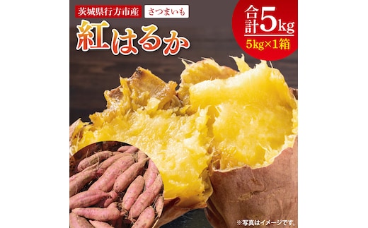 【2025年9月より順次発送】さつまいも(紅はるか) 約5kg｜さつまいも 芋 サツマイモ 紅はるか 先行予約 茨城県 行方市(HP-1)