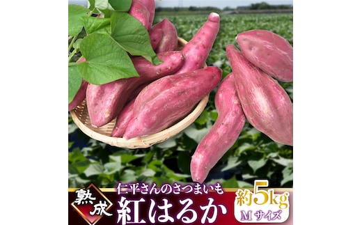 【2026年1月より順次発送】仁平さんの熟成紅はるか 約5kg(Mサイズ・洗い)｜さつまいも サツマイモ さつま芋 いも 紅はるか 熟成さつまいも 熟成 茨城県 行方市(CH-3)