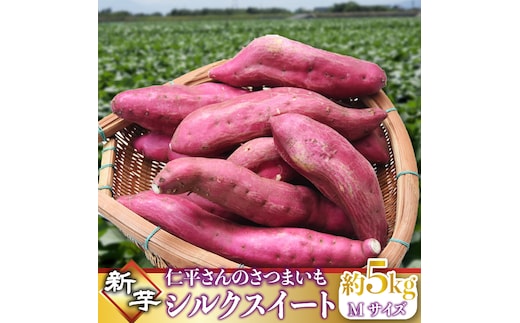 【2026年9月より順次発送】仁平さんの新芋シルクスイート 約5kg(Mサイズ・洗い)｜さつまいも サツマイモ さつま芋 いも シルクスイート 新芋 茨城県 行方市(CH-4)