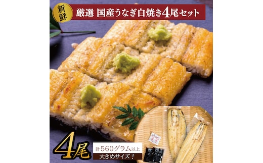 大きな国内産うなぎ白焼(酒蒸し)140～160g×4尾 計560g以上｜うなぎ 鰻 ウナギ 国産 国産うなぎ 白焼き 白焼 酒蒸し 土用の丑の日 丑の日 茨城県 行方市(AD-148)