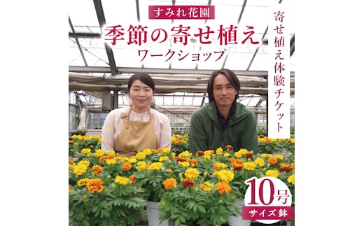 行方市の花農家「すみれ花園」季節の寄せ植えワークショップ(10号サイズ鉢)｜花 お花 季節の花 ワークショップ 体験 体験チケット ラーケーション ガーデンセラピー 寄せ植え 茨城県 行方市(EH-31)