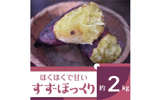 2025年度産 ホクホクで甘いさつまいも すずほっくり 約2kg｜さつまいも 芋 お芋 すずほっくり 渋谷農園 茨城県 行方市(BZ-55)