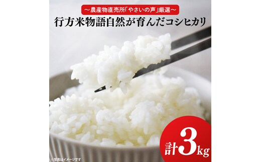 ～農産物直売所「やさいの声」厳選～「行方米物語 - 自然が育んだコシヒカリ３kg」｜米 お米 こめ コシヒカリ ご飯 白ご飯 令和7年産 R7年産 茨城県 行方市(EK-6-2)