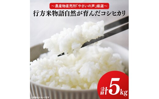 ～農産物直売所「やさいの声」厳選～「行方米物語 - 自然が育んだコシヒカリ５kg」｜米 お米 こめ コシヒカリ ご飯 白ご飯 令和7年産 R7年産 茨城県 行方市(EK-7-2)