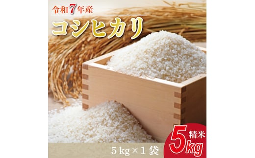 ★新米★R7年産 コシヒカリ 5kg｜米 お米 白米 精米 新米 R7年産 令和7年産 こしひかり コシヒカリ 茨城県 茨城県産 行方市(HA-24)