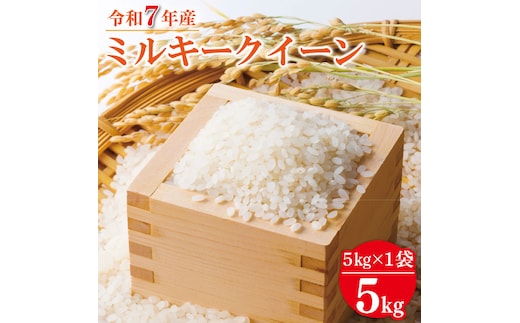 ★新米★R7年産 ミルキークイーン 5kg｜米 お米 白米 精米 新米 R7年産 令和7年産 ミルキークイーン 茨城県 茨城県産 行方市(HA-25)