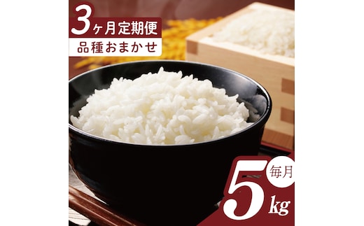 【2026年2月より順次発送】【3回定期便】R7年産米 品種おまかせ定期便 5kg｜米 お米 白米 精米 R7年産 令和7年産 こしひかり コシヒカリ ミルキークイーン にじのきらめき あきたこまち 定期便 おまかせ定期便 茨城県 茨城県産 行方市(HA-35)