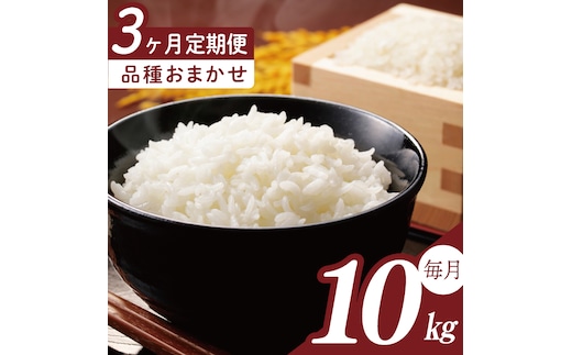 【2026年2月より順次発送】【3回定期便】R7年産米 品種おまかせ定期便 10kg｜米 お米 白米 精米 R7年産 令和7年産 こしひかり コシヒカリ ミルキークイーン にじのきらめき あきたこまち 定期便 おまかせ定期便 茨城県 茨城県産 行方市(HA-36)
