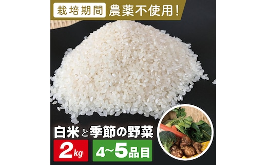 【身体が喜ぶ野菜】白米2kgと季節の野菜(おまかせ4〜5品)(茨城県共通返礼品／潮来市)｜米 お米 こめ 白米 野菜 野菜セット 栽培期間農薬不使用 茨城県共通返礼品 共通返礼品 茨城県 潮来市 行方市(BI-58)