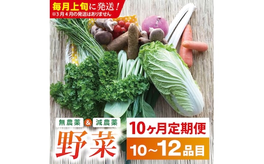 【10ヶ月定期便】★毎月上旬発送★身体が喜ぶ季節の野菜 10～12品目｜野菜 やさい 野菜セット セット 詰め合わせ おまかせ 定期便 野菜定期便 茨城県 行方市(BI-110)