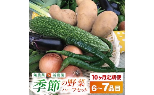 【10ヶ月定期便】身体が喜ぶ季節の野菜ハーフセット(6～7品)｜野菜 やさい 野菜セット セット 詰め合わせ おまかせ 定期便 野菜定期便 茨城県 行方市(BI-43)