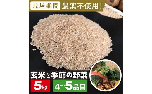 【身体が喜ぶ野菜】玄米5kgと季節の野菜(おまかせ4〜5品)(茨城県共通返礼品／潮来市)｜米 お米 こめ 玄米 野菜 野菜セット 栽培期間農薬不使用 無農薬 減農薬 茨城県共通返礼品 共通返礼品 茨城県 潮来市 行方市(BI-108)