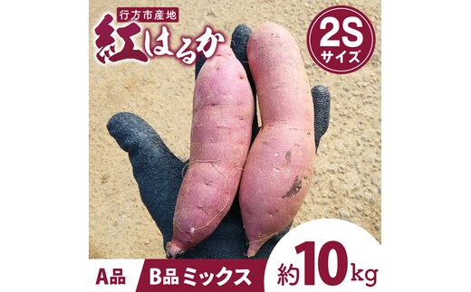 茨城県行方市特産紅はるか 2Sサイズ(A品・B品ミックス) 約10kg｜さつまいも 紅はるか(FU-5)