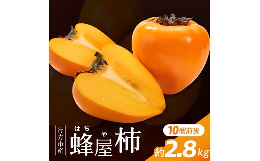 【2026年11月より順次発送】行方市産 蜂屋柿 約2.8kg｜柿 先行予約 茨城県（CP-16）