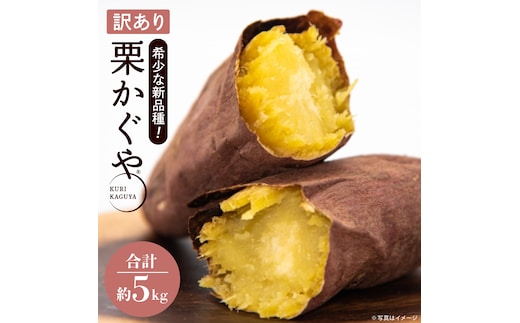 【訳あり】行方かんしょ「行方の黄福（栗かぐや）」さつまいも約5kg（洗い・不揃い・C品）｜茨城県 行方市 ふるさと納税 芋 野菜 栗かぐや(AE-150)