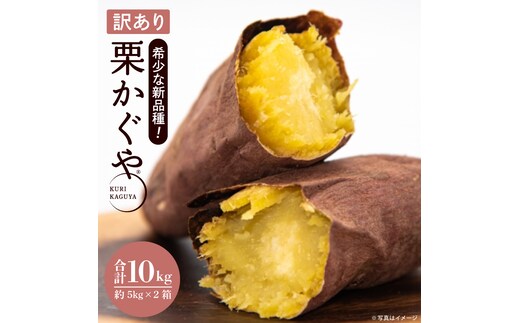 【訳あり】行方かんしょ「行方の黄福（栗かぐや）」さつまいも約10kg（洗い・不揃い・C品）｜茨城県 行方市 ふるさと納税 芋 野菜 栗かぐや(AE-151)