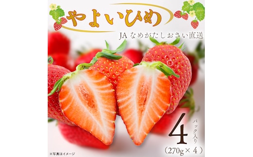 【2027年1月中旬以降順次発送開始】JAなめがたしおさい直送「やよいひめ」１箱（４パック入）|茨城県 行方市 ふるさと納税 果物 フルーツ 苺 いちご イチゴ（AE-161）