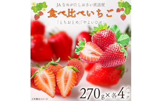 【2027年1月中旬以降順次発送開始】JAなめがたしおさい直送「やよいひめ」2箱（8パック入）|茨城県 行方市 ふるさと納税 果物 フルーツ 苺 いちご イチゴ（AE-163）