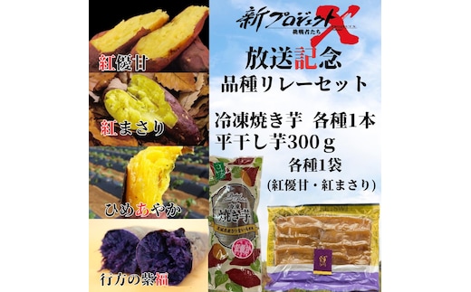 【新プロジェクトX放送～行方かんしょ～】 JAなめがたしおさい「品種リレー」セット（冷凍焼き芋4種・平干し芋300ｇ各種1袋セット）|茨城県 行方市 ふるさと納税 冷凍焼き芋 やきいも 平干し芋 ほしいも 紅はるか 紅優甘 紅まさり ひめあやか 紫福（AE-159）