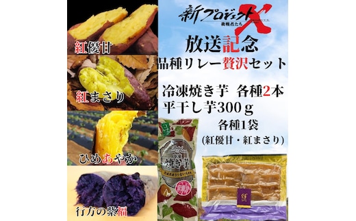 【新プロジェクトX放送～行方かんしょ～】 （冷凍焼き芋4種×2本・平干し芋300ｇ各種1袋セット）|茨城県 行方市 ふるさと納税 冷凍焼き芋 やきいも 平干し芋 ほしいも 紅はるか 紅優甘 紅まさり ひめあやか 紫福（AE-160）