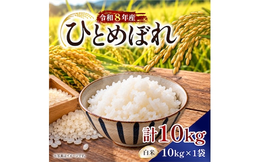 【令和8年産新米】【2026年9月上旬より順次発送開始】ひとめぼれ（白米）10kg｜茨城県 行方市 ふるさと納税 米 精米 新米（DD-14）