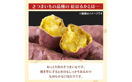 茨城県産 紅はるか 訳あり サイズミックス 約5kg｜訳あり わけあり 訳