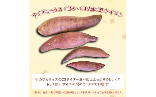 茨城県産 紅はるか 訳あり サイズミックス 約5kg｜訳あり わけあり 訳