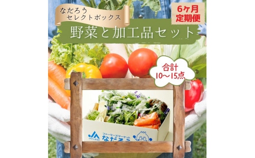 【6ヶ月定期便】野菜と加工品「なだろう」セレクトボックス 2023/10/1～