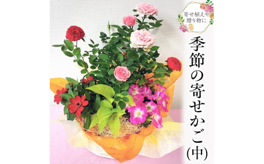季節の寄せかご（中） 花 お花 フラワー 誕生日 プレゼント ギフト 贈り物 父の日 母の日 [AS01-NT]